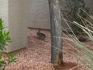 Photo #4: 6193651 Listing