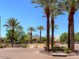 Photo #1: 6197715 Listing 