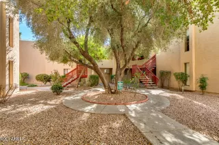 Photo #1: 6198395 Listing