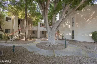 Photo #1: 6200761 Listing