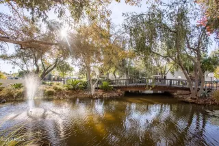 Photo #1: 6204724 Listing