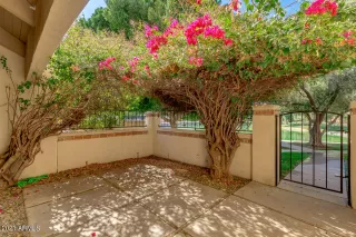 Photo #3: 6205242 Listing