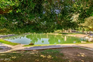 Photo #6: 6205242 Listing