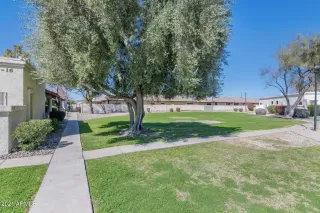 Photo #6: 6205322 Listing 