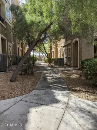 Photo #2: 6207013 Listing