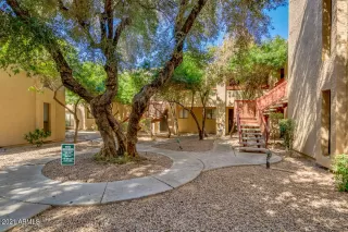 Photo #1: 6209816 Listing