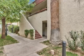 Photo #1: 6212084 Listing