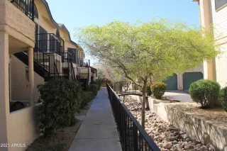 Photo #1: 6212144 Listing 