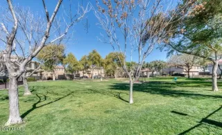 Photo #1: 6212348 Listing