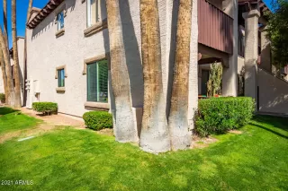 Photo #1: 6215601 Listing 