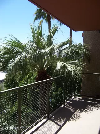 Photo #1: 6217395 Listing