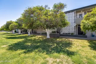 Photo #1: 6218616 Listing 