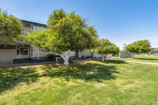 Photo #2: 6218616 Listing 