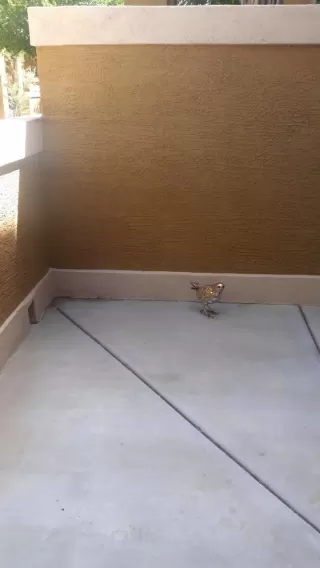 Photo #2: 6220759 Listing