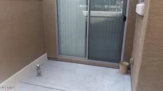 Photo #3: 6220759 Listing