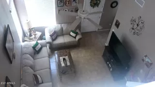 Photo #6: 6220759 Listing