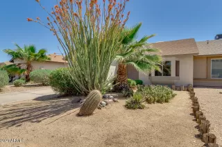 Photo #1: 6221518 Listing 