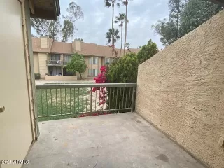 Photo #5: 6221868 Listing