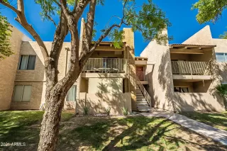 Photo #1: 6222979 Listing
