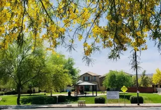 Photo #1: 6223965 Listing