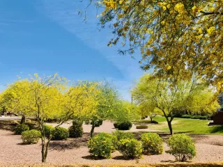 Photo #3: 6223965 Listing