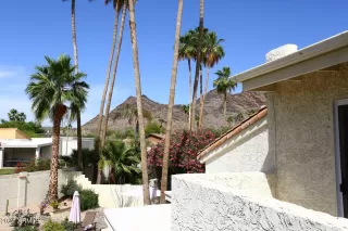 Photo #4: 6224252 Listing