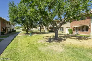 Photo #1: 6225195 Listing 