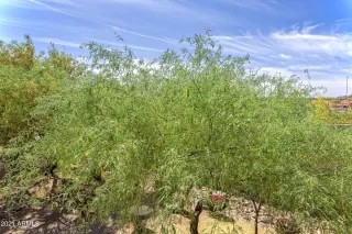 Photo #4: 6226298 Listing