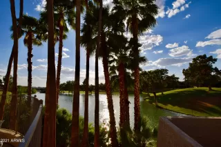 Photo #5: 6226629 Listing