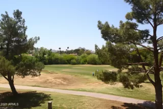 Photo #2: 6226891 Listing 