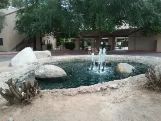 Photo #1: 6227483 Listing