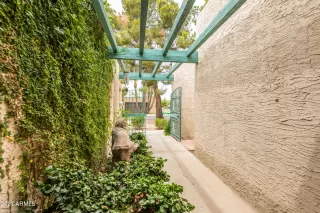 Photo #5: 6227613 Listing