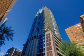 You might also be interested in 44 MONROE