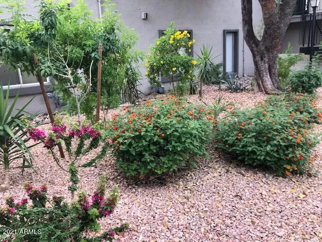 MLS: 6231054 Condo For Sale