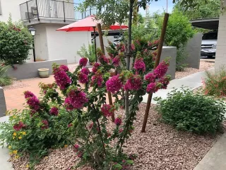 Photo #1: 6231054 Listing 