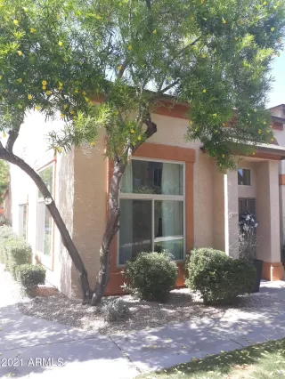 Photo #1: 6234426 Listing