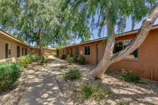 Photo #1: 6235916 Listing