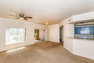 Photo #3: 6235948 Listing