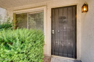 Photo #5: 6236366 Listing 