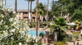 Photo #2: 6239528 Listing