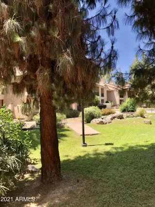 Photo #1: 6240421 Listing