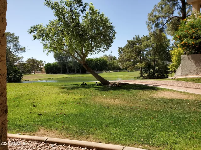 MLS: 6241255 Condo For Sale