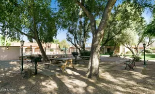 Photo #5: 6242504 Listing