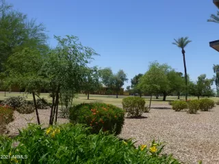 Photo #4: 6244516 Listing 