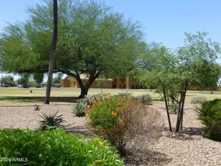 Photo #5: 6244516 Listing 