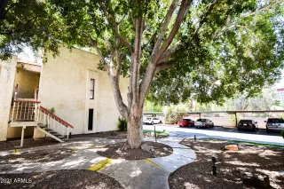 Photo #1: 6246217 Listing