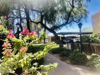 Photo #1: 6250457 Listing