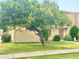 Photo #2: 6251456 Listing 