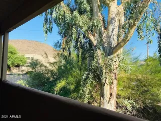 Photo #1: 6252091 Listing