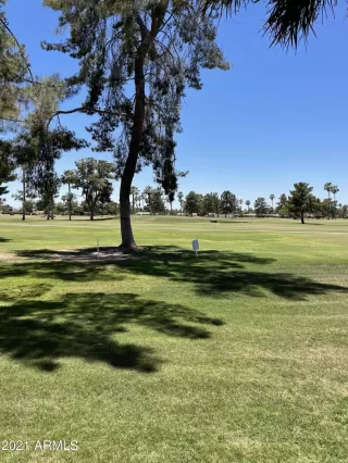 Photo #1: 6252932 Listing